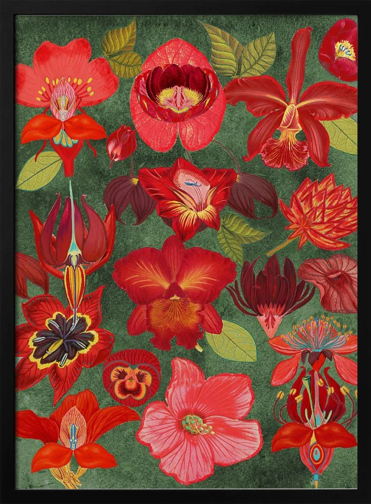 Final Eclectic Garden Copy 3.png - Stretched Canvas, Poster Or Fine Art Print(Final Eclectic Garden Copy 3 Png Stretched Canvas Poster Or Fine Art Print) 1 Final Eclectic Garden Copy 3.png - Stretched Canvas, Poster Or Fine Art Print(Final Eclectic Garden Copy 3 Png Stretched Canvas Poster Or Fine Art Print)