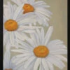 White Daisies - Stretched Canvas, Poster Or Fine Art Print(White Daisies Stretched Canvas Poster Or Fine Art Print)