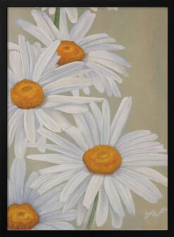 White Daisies - Stretched Canvas, Poster Or Fine Art Print(White Daisies Stretched Canvas Poster Or Fine Art Print)