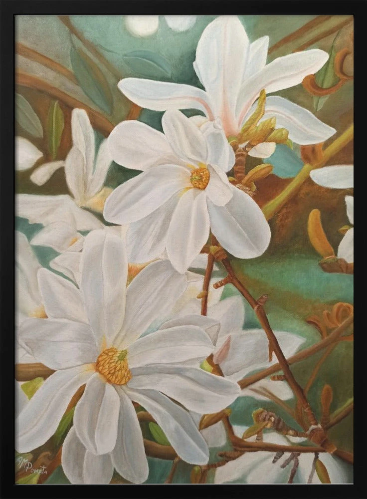 Magnolias - Stretched Canvas, Poster Or Fine Art Print(Mws_apo_1_g2_magnolias Stretched Canvas Poster Or Fine Art Print) 1 Magnolias - Stretched Canvas, Poster Or Fine Art Print(Mws_apo_1_g2_magnolias Stretched Canvas Poster Or Fine Art Print)