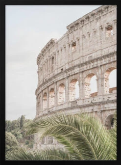 Colosseum - Stretched Canvas, Poster Or Fine Art Print(Colosseum Stretched Canvas Poster Or Fine Art Print)
