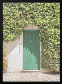 Botanical Entry - Stretched Canvas, Poster Or Fine Art Print(Botanical Entry Stretched Canvas Poster Or Fine Art Print)