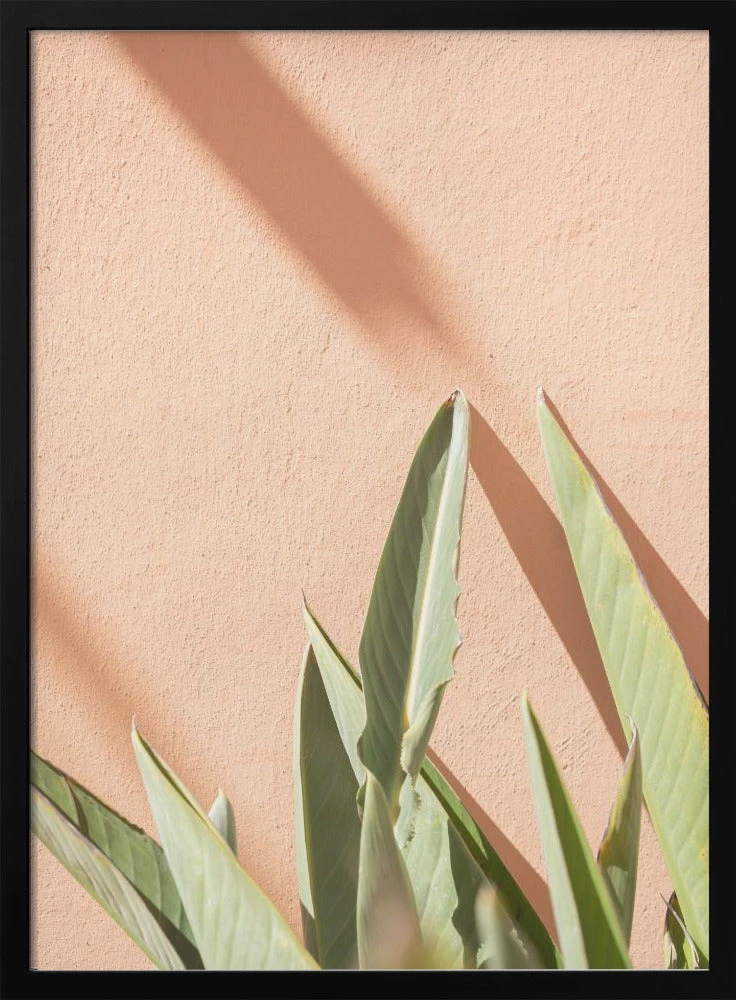 Botanical Pastels - Stretched Canvas, Poster Or Fine Art Print(Botanical Pastels Stretched Canvas Poster Or Fine Art Print) 1 Botanical Pastels - Stretched Canvas, Poster Or Fine Art Print(Botanical Pastels Stretched Canvas Poster Or Fine Art Print)