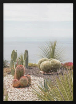 Botanical Garden - Stretched Canvas, Poster Or Fine Art Print(Botanical Garden Stretched Canvas Poster Or Fine Art Print 1)