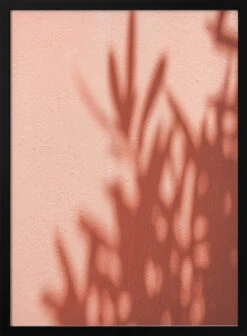 Shadows - Stretched Canvas, Poster Or Fine Art Print(Shadows Stretched Canvas Poster Or Fine Art Print)