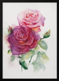 Rose June - Stretched Canvas, Poster Or Fine Art Print(Rose June Stretched Canvas Poster Or Fine Art Print)