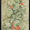 Nasturtium Tapestry - Stretched Canvas, Poster Or Fine Art Print(Nasturtium Tapestry Stretched Canvas Poster Or Fine Art Print)