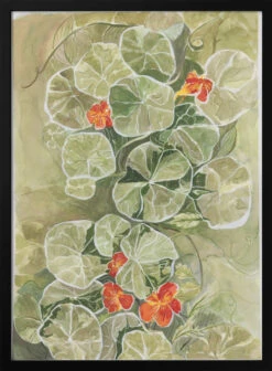 Nasturtium Tapestry - Stretched Canvas, Poster Or Fine Art Print(Nasturtium Tapestry Stretched Canvas Poster Or Fine Art Print)