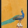 Peacock Rollerskating - Stretched Canvas, Poster Or Fine Art Print(Peacock Rollerskating Stretched Canvas Poster Or Fine Art Print)