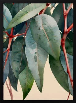 Minimalist Eucalyptus Botanical Art - Stretched Canvas, Poster Or Fine Art Print(Minimalist Eucalyptus Botanical Art Stretched Canvas Poster Or Fine Art Print)