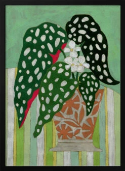 Begonia Maculata - Stretched Canvas, Poster Or Fine Art Print(Begonia Maculata Stretched Canvas Poster Or Fine Art Print)