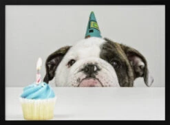 A Little Birthday - Stretched Canvas, Poster Or Fine Art Print(A Little Birthday Stretched Canvas Poster Or Fine Art Print)