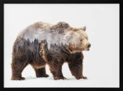 Bear - Stretched Canvas, Poster Or Fine Art Print(Bear Stretched Canvas Poster Or Fine Art Print 1)