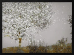 Fruit Tree - Stretched Canvas, Poster Or Fine Art Print(Fruit Tree Stretched Canvas Poster Or Fine Art Print) 14 Fruit Tree - Stretched Canvas, Poster Or Fine Art Print(Fruit Tree Stretched Canvas Poster Or Fine Art Print) -Heart Wall Art Store pictufy black horizontal 50x70 1522836