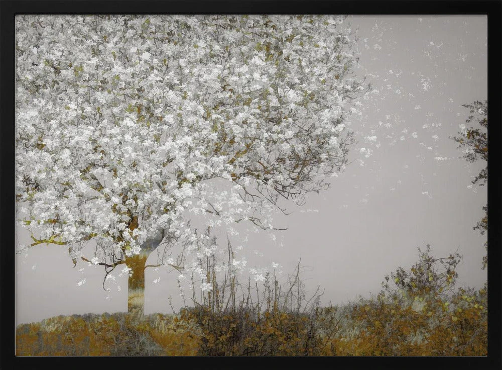 Fruit Tree - Stretched Canvas, Poster Or Fine Art Print(Fruit Tree Stretched Canvas Poster Or Fine Art Print) 3 Fruit Tree - Stretched Canvas, Poster Or Fine Art Print(Fruit Tree Stretched Canvas Poster Or Fine Art Print) - Image 3