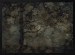 Dark Forest - Stretched Canvas, Poster Or Fine Art Print(Dark Forest Stretched Canvas Poster Or Fine Art Print) -Heart Wall Art Store pictufy black horizontal 50x70 1760532