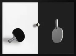 Match Point - Stretched Canvas, Poster Or Fine Art Print(Match Point Stretched Canvas Poster Or Fine Art Print)