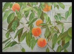 Peaches - Stretched Canvas, Poster Or Fine Art Print(Peaches Stretched Canvas Poster Or Fine Art Print)
