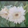 White Gerbera - Stretched Canvas, Poster Or Fine Art Print(White Gerbera Stretched Canvas Poster Or Fine Art Print)