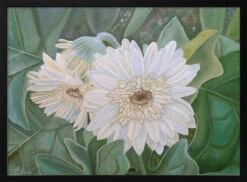 White Gerbera - Stretched Canvas, Poster Or Fine Art Print(White Gerbera Stretched Canvas Poster Or Fine Art Print)