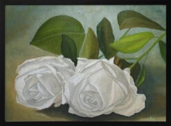 White Roses - Stretched Canvas, Poster Or Fine Art Print(White Roses Stretched Canvas Poster Or Fine Art Print)