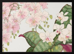 Vintage Orchid Flower No.2 - Stretched Canvas, Poster Or Fine Art Print(Vintage Orchid Flower No 2 Stretched Canvas Poster Or Fine Art Print)