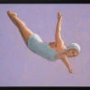 Lavender Diver - Stretched Canvas, Poster Or Fine Art Print(Lavender Diver Stretched Canvas Poster Or Fine Art Print)