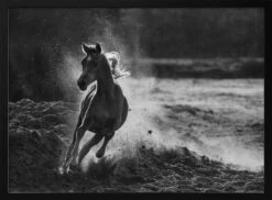 Take Off - Stretched Canvas, Poster Or Fine Art Print(Take Off Stretched Canvas Poster Or Fine Art Print)