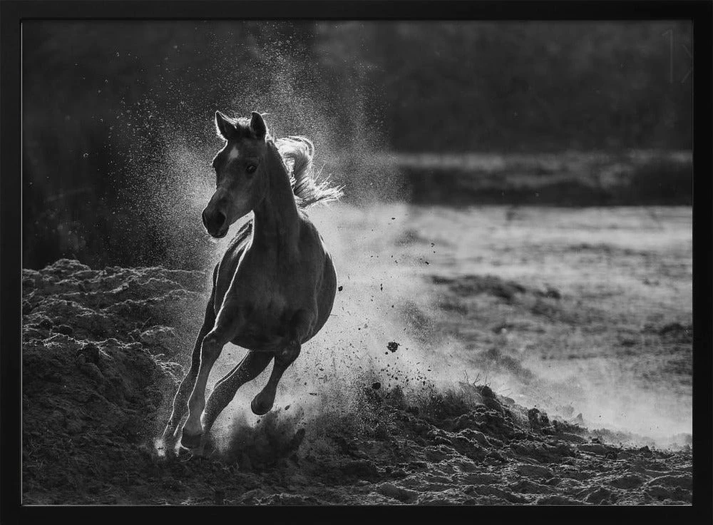 Take Off - Stretched Canvas, Poster Or Fine Art Print(Take Off Stretched Canvas Poster Or Fine Art Print) 1 Take Off - Stretched Canvas, Poster Or Fine Art Print(Take Off Stretched Canvas Poster Or Fine Art Print)