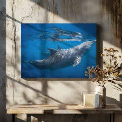 Dolphin At The Surface - Stretched Canvas, Poster Or Fine Art Print(Dolphin At The Surface Stretched Canvas Poster Or Fine Art Print) -Heart Wall Art Store pictufy canvas dried flowers ratio 7x5 1495943