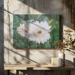 White Gerbera - Stretched Canvas, Poster Or Fine Art Print(White Gerbera Stretched Canvas Poster Or Fine Art Print) -Heart Wall Art Store pictufy canvas dried flowers ratio 7x5 2575835