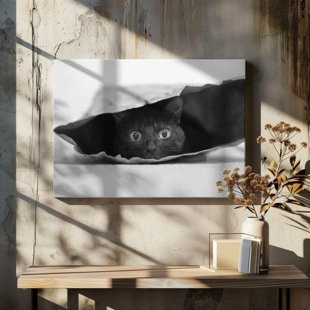 Cat In A Bag - Stretched Canvas, Poster Or Fine Art Print(Cat In A Bag Stretched Canvas Poster Or Fine Art Print) 9 Cat In A Bag - Stretched Canvas, Poster Or Fine Art Print(Cat In A Bag Stretched Canvas Poster Or Fine Art Print) - Image 9