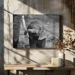 Close - Stretched Canvas, Poster Or Fine Art Print(Close Stretched Canvas Poster Or Fine Art Print) -Heart Wall Art Store pictufy canvas dried flowers ratio 7x5 771686