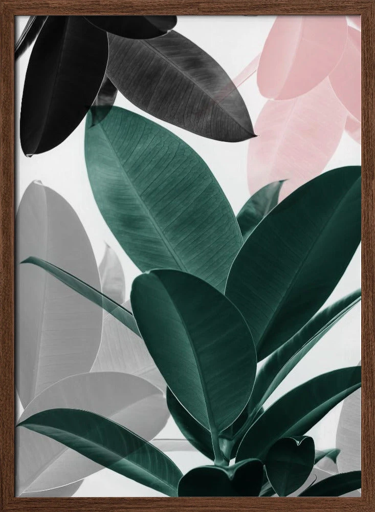 Leaf Play - Stretched Canvas, Poster Or Fine Art Print(Leaf Play Stretched Canvas Poster Or Fine Art Print) 2 Leaf Play - Stretched Canvas, Poster Or Fine Art Print(Leaf Play Stretched Canvas Poster Or Fine Art Print) - Image 2