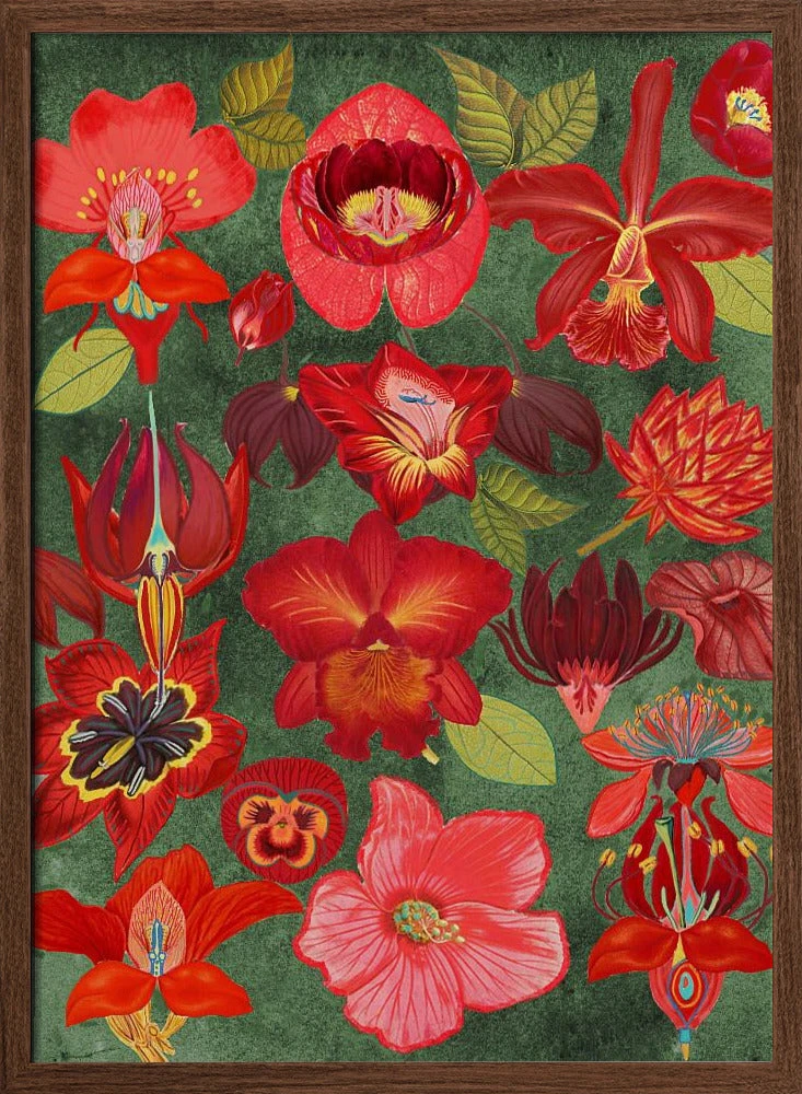 Final Eclectic Garden Copy 3.png - Stretched Canvas, Poster Or Fine Art Print(Final Eclectic Garden Copy 3 Png Stretched Canvas Poster Or Fine Art Print) 2 Final Eclectic Garden Copy 3.png - Stretched Canvas, Poster Or Fine Art Print(Final Eclectic Garden Copy 3 Png Stretched Canvas Poster Or Fine Art Print) - Image 2