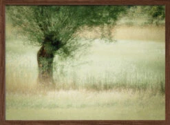 Willow - Stretched Canvas, Poster Or Fine Art Print(Willow Stretched Canvas Poster Or Fine Art Print 2)