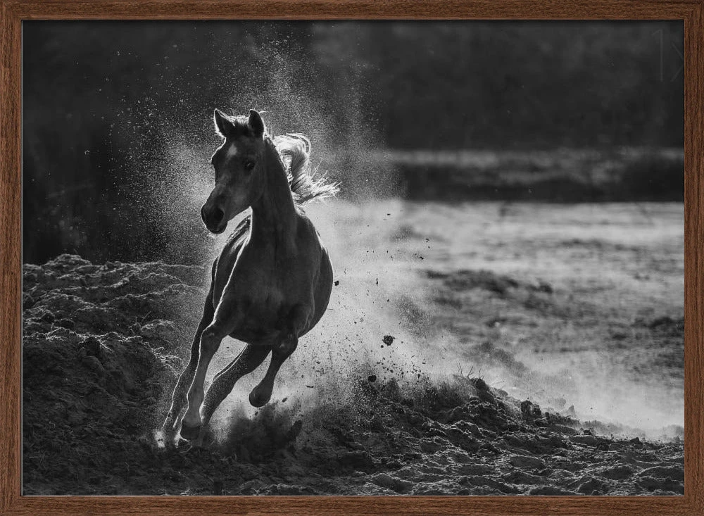 Take Off - Stretched Canvas, Poster Or Fine Art Print(Take Off Stretched Canvas Poster Or Fine Art Print) 2 Take Off - Stretched Canvas, Poster Or Fine Art Print(Take Off Stretched Canvas Poster Or Fine Art Print) - Image 2