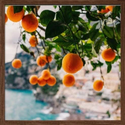 Amalfi Coast Oranges - Square Stretched Canvas, Poster Or Fine Art Print(Amalfi Coast Oranges Square Stretched Canvas Poster Or Fine Art Print) -Heart Wall Art Store pictufy dark wood square 50x70 2758176