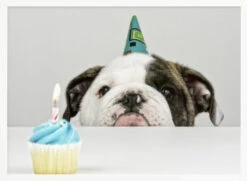 A Little Birthday - Stretched Canvas, Poster Or Fine Art Print(A Little Birthday Stretched Canvas Poster Or Fine Art Print) -Heart Wall Art Store pictufy horizontal white 70x50 1108248