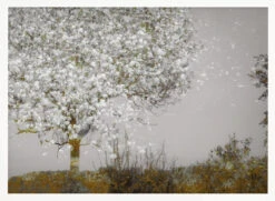 Fruit Tree - Stretched Canvas, Poster Or Fine Art Print(Fruit Tree Stretched Canvas Poster Or Fine Art Print) 15 Fruit Tree - Stretched Canvas, Poster Or Fine Art Print(Fruit Tree Stretched Canvas Poster Or Fine Art Print) -Heart Wall Art Store pictufy horizontal white 70x50 1522836