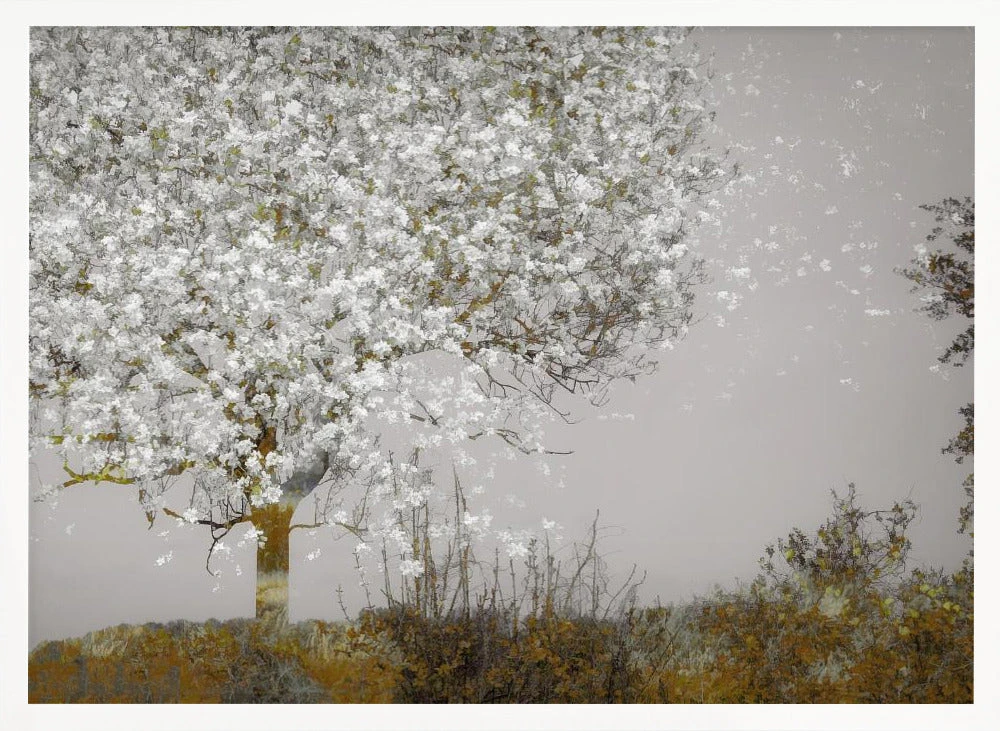 Fruit Tree - Stretched Canvas, Poster Or Fine Art Print(Fruit Tree Stretched Canvas Poster Or Fine Art Print) 4 Fruit Tree - Stretched Canvas, Poster Or Fine Art Print(Fruit Tree Stretched Canvas Poster Or Fine Art Print) - Image 4