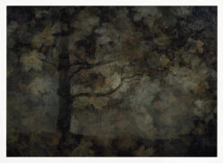 Dark Forest - Stretched Canvas, Poster Or Fine Art Print(Dark Forest Stretched Canvas Poster Or Fine Art Print) -Heart Wall Art Store pictufy horizontal white 70x50 1760532