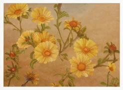 Yellow Daisies - Stretched Canvas, Poster Or Fine Art Print(Yellow Daisies Stretched Canvas Poster Or Fine Art Print) -Heart Wall Art Store pictufy horizontal white 70x50 2575869