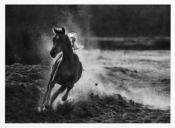 Take Off - Stretched Canvas, Poster Or Fine Art Print(Take Off Stretched Canvas Poster Or Fine Art Print) 15 Take Off - Stretched Canvas, Poster Or Fine Art Print(Take Off Stretched Canvas Poster Or Fine Art Print) -Heart Wall Art Store pictufy horizontal white 70x50 497586