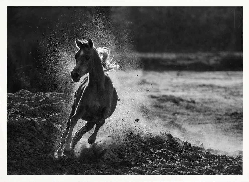 Take Off - Stretched Canvas, Poster Or Fine Art Print(Take Off Stretched Canvas Poster Or Fine Art Print) 4 Take Off - Stretched Canvas, Poster Or Fine Art Print(Take Off Stretched Canvas Poster Or Fine Art Print) - Image 4