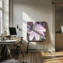 Rosa Amaryllis - Square Stretched Canvas, Poster Or Fine Art Print(Rosa Amaryllis Square Stretched Canvas Poster Or Fine Art Print) -Heart Wall Art Store pictufy interior artist studio ratio 1x1 3163065