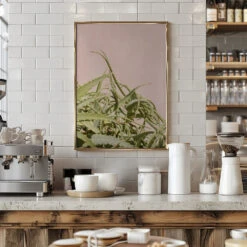 Cacti On Pink - Stretched Canvas, Poster Or Fine Art Print(Cacti On Pink Stretched Canvas Poster Or Fine Art Print) -Heart Wall Art Store pictufy interior barista white 2711111