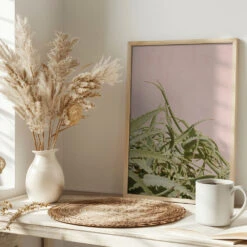 Cacti On Pink - Stretched Canvas, Poster Or Fine Art Print(Cacti On Pink Stretched Canvas Poster Or Fine Art Print) -Heart Wall Art Store pictufy interior bright scandi tea cup ratio 2x3 2711111