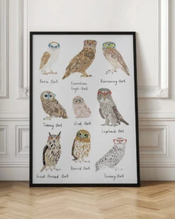 Owls In Glasses Print - Stretched Canvas, Poster Or Fine Art Print(Owls In Glasses Print Stretched Canvas Poster Or Fine Art Print) -Heart Wall Art Store pictufy interior floor ratio 2x3 2655096