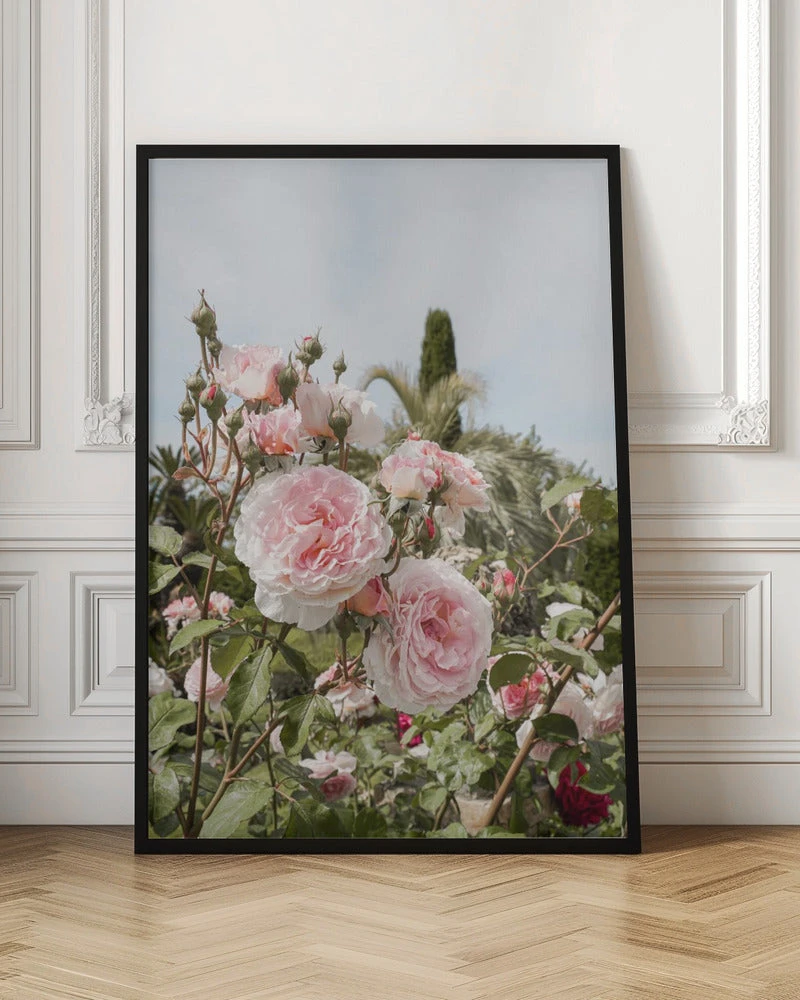Garden Roses - Stretched Canvas, Poster Or Fine Art Print(Garden Roses Stretched Canvas Poster Or Fine Art Print) 6 Garden Roses - Stretched Canvas, Poster Or Fine Art Print(Garden Roses Stretched Canvas Poster Or Fine Art Print) - Image 6